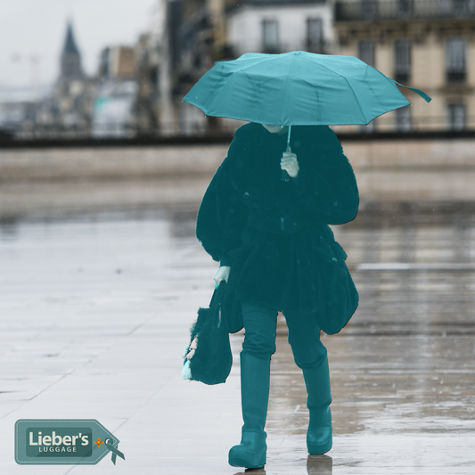 Don't Get Caught Out: Why Lieber's Mini Folding Umbrella is Your Essential 2025 Travel Gear (Now at an Unbeatable Factory Price!)