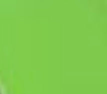 Travel Folding Hair Brush with Mirror Green