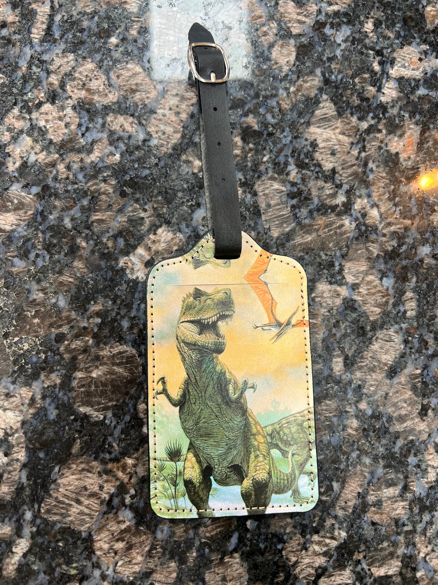 Luggage Tag - Dinosaurs