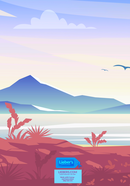 Lieber's Luggage® Lab Greeting Cards- Vacation Collection