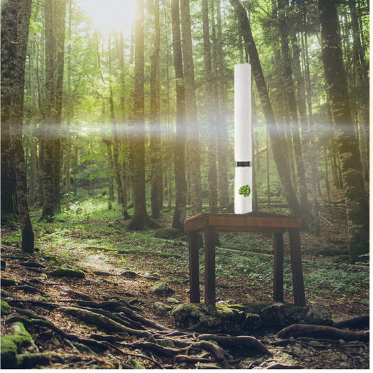 Eva Brooklyn™ Sonic Toothbrush