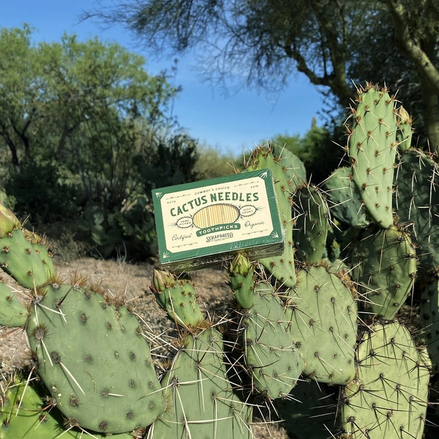 Seraparito Supply Co. "Cactus Needle" Toothpicks- $7.50