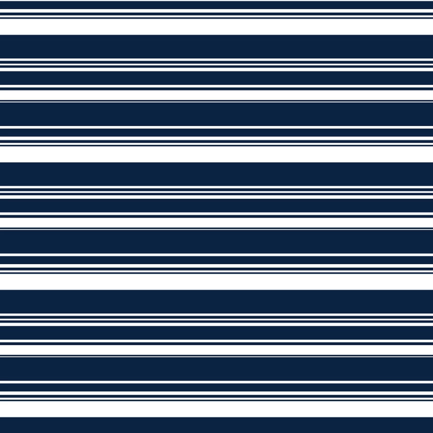 Salt and Palms Sunglass Case Navy Stripe