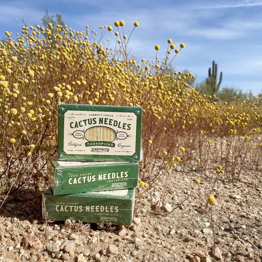 Seraparito Supply Co. "Cactus Needle" Toothpicks- $7.50