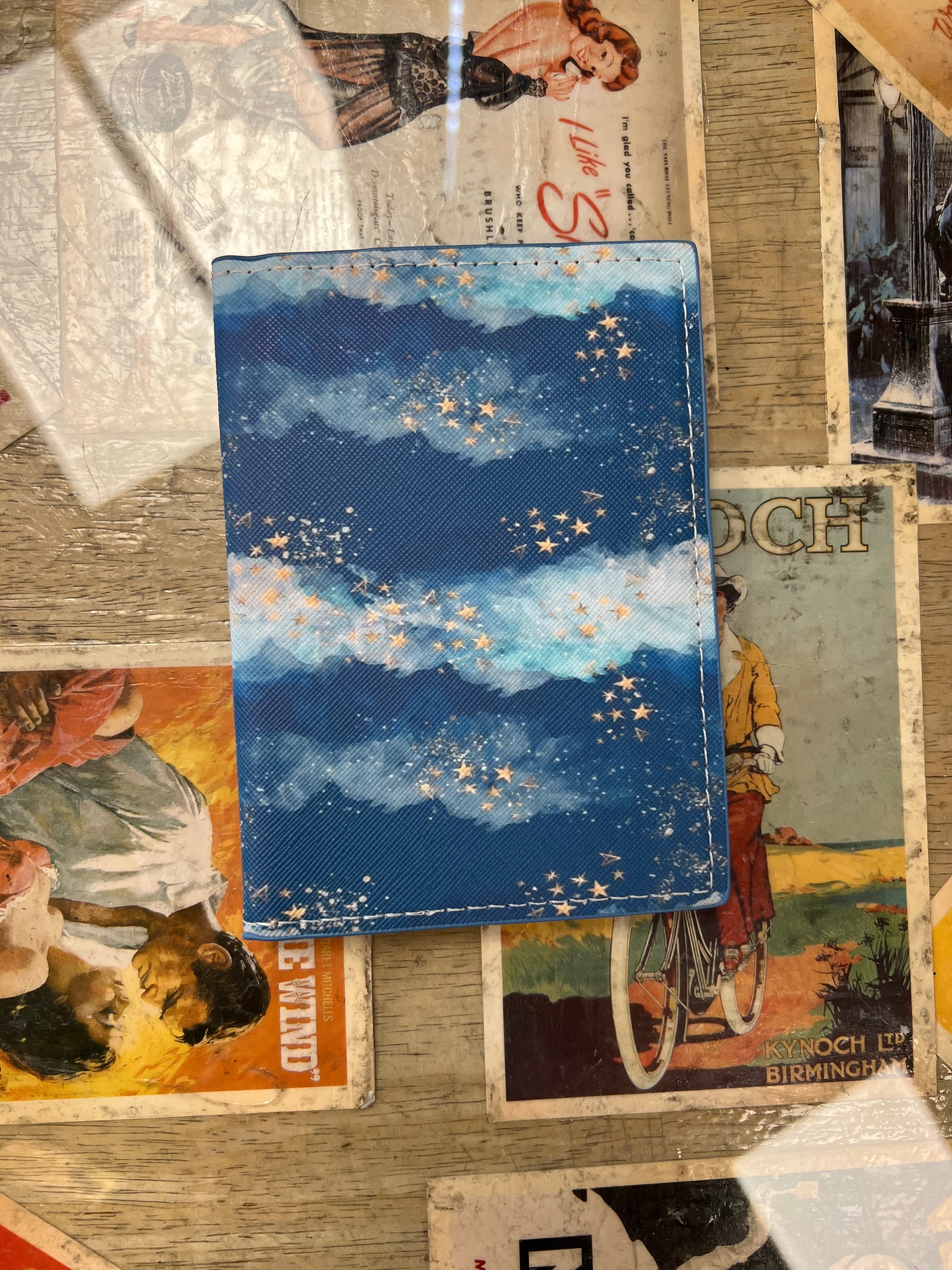 Passport Wallet- Sky