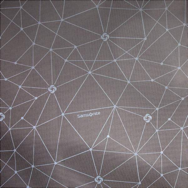 Samsonite COMPANION BAGS Laptop Backpack w/ trolley sleeve passthrough