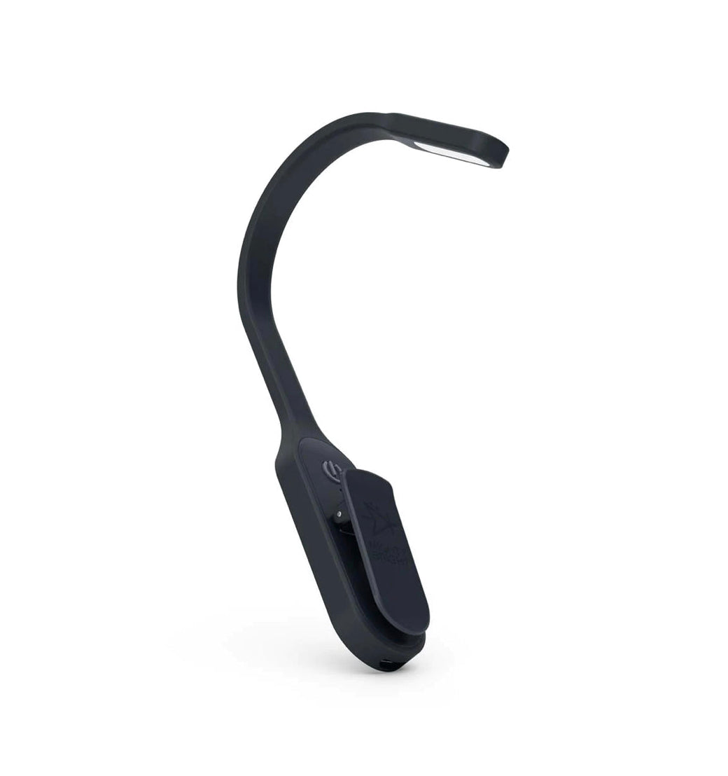 Recharging Book Light- $15