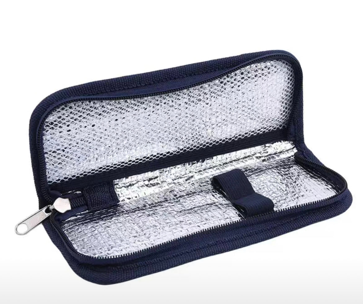 Small Portable Travel Cooler Case- $3.99