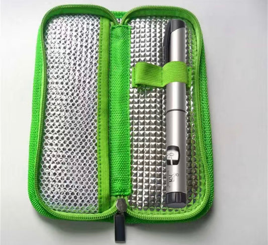 Small Portable Travel Cooler Case- $3.99