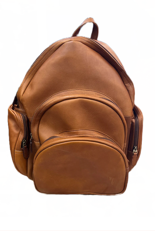 On Sale- Dorado Leather Backpack