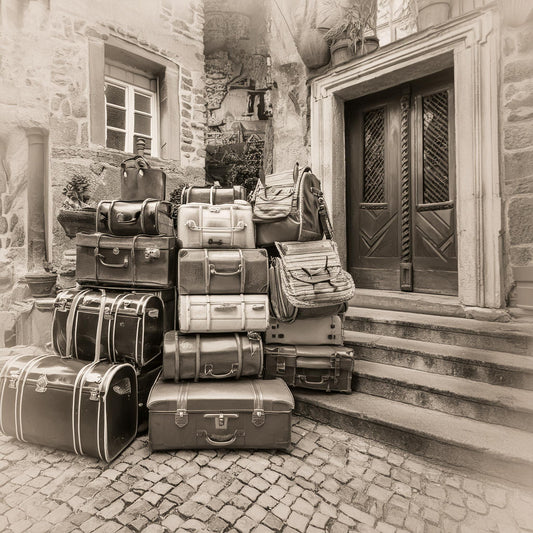 Lieber's Luggage: Supporting Your Community, One Suitcase at a Time
