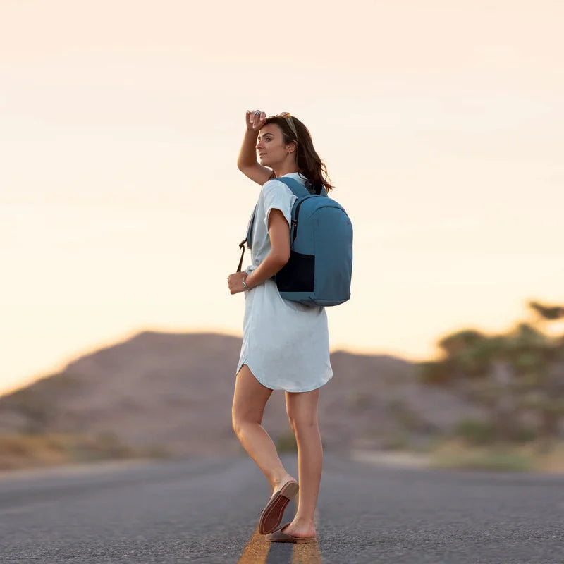 Travelon The Voyages Anti-Theft Day Pack w/ RFID