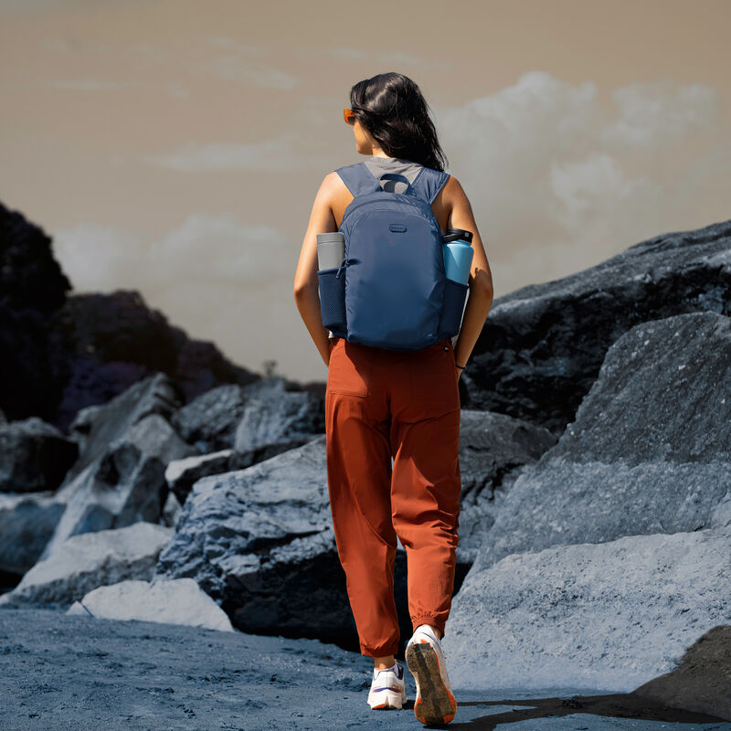 Travelon Packable Daypack Backpack