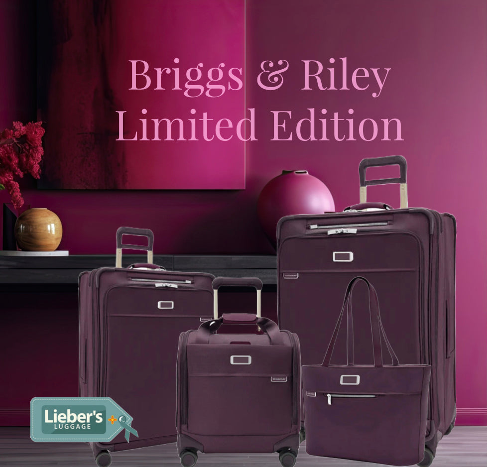 Leather Care – Lieber's Luggage