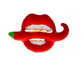 Brooch-Red Chile- $1.99