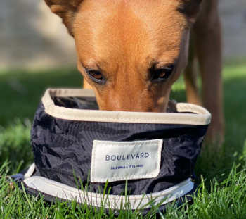 Boulevard Lassie Travel Dog Bowl