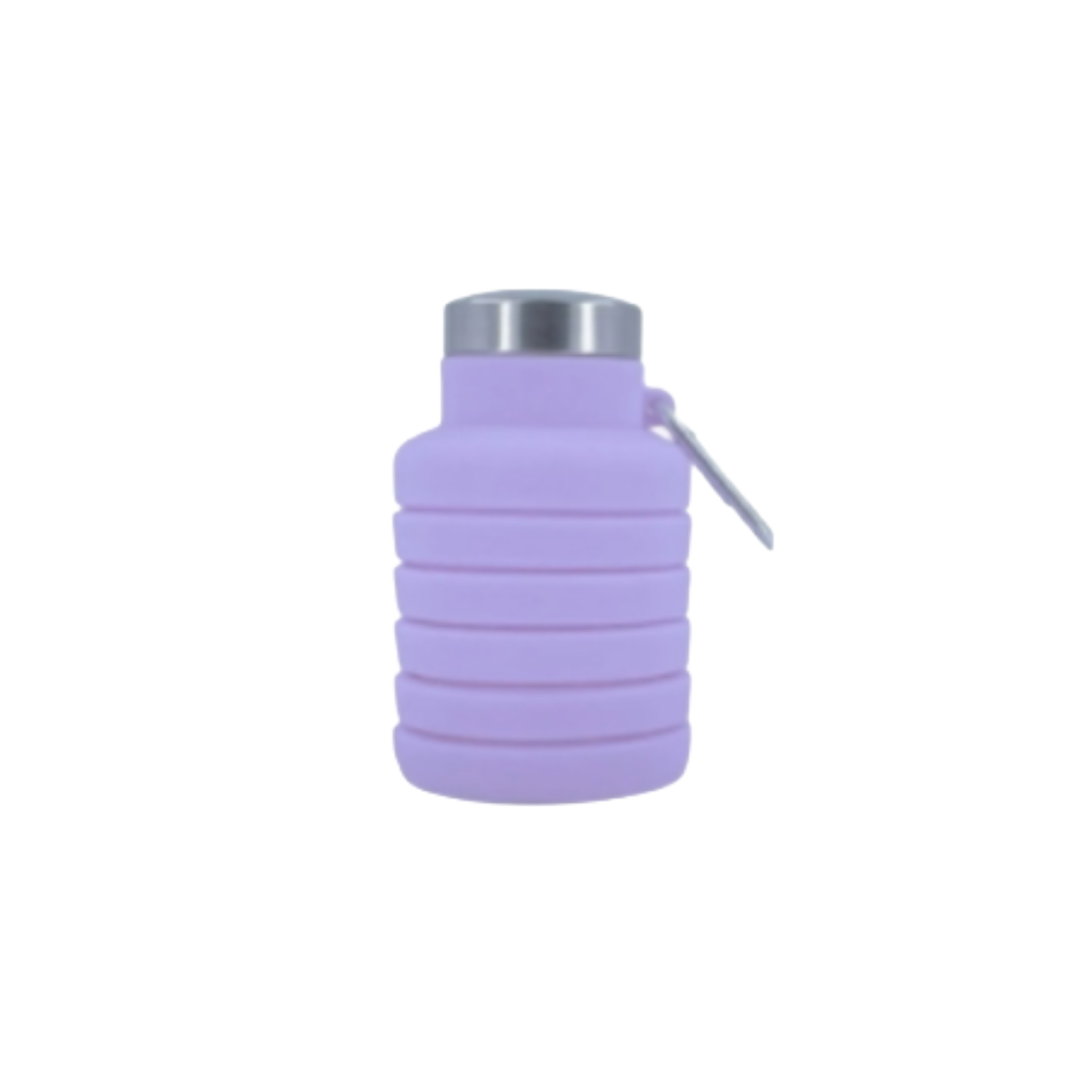 Lieber's Luggage® Silicone Collapsible Travel Water Bottle (500ml)