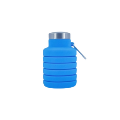 Lieber's Luggage® Silicone Collapsible Travel Water Bottle (500ml)