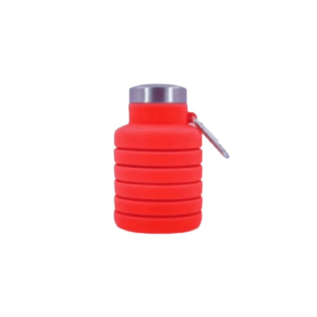 Lieber's Luggage® Silicone Collapsible Travel Water Bottle (500ml)