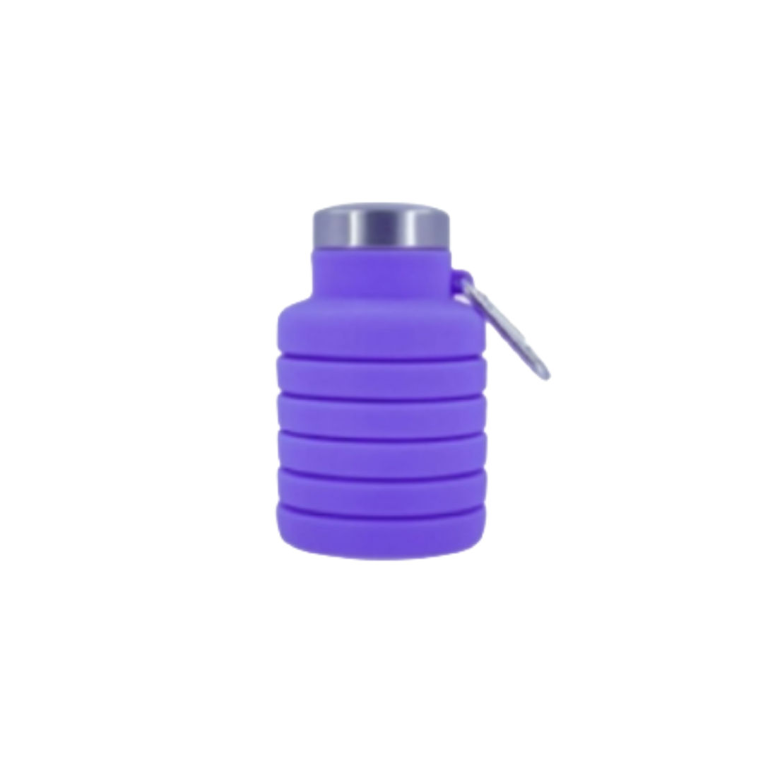 Lieber's Luggage® Silicone Collapsible Travel Water Bottle (500ml)