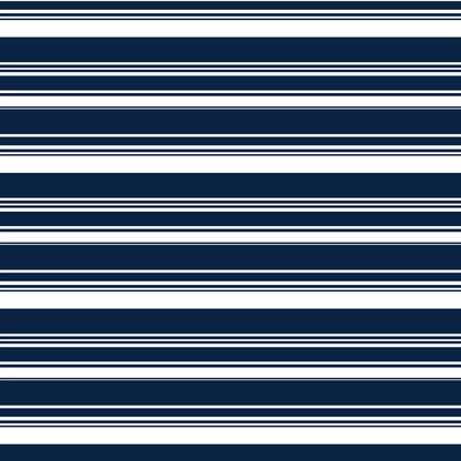 Salt and Palms Sunglass Case Navy Stripe