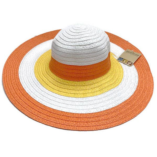 High Desert Summer Sun Hat- $10