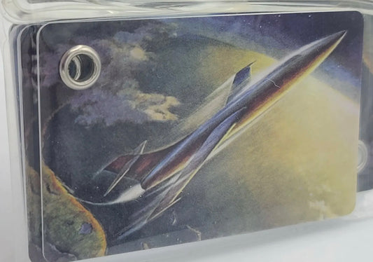 Space Luggage Tag- $1.00